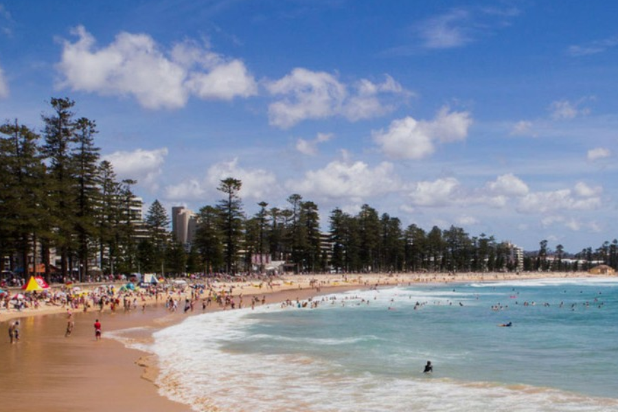 Conferences on northern beaches