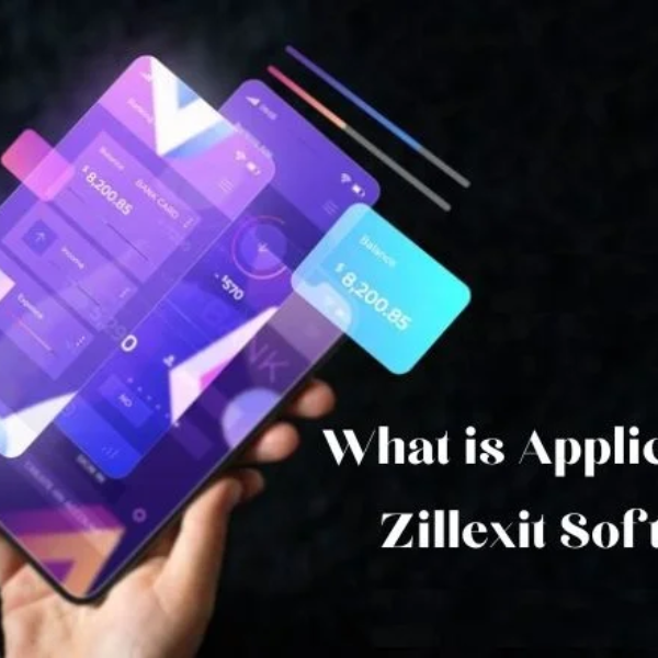 what is application in zillexit software