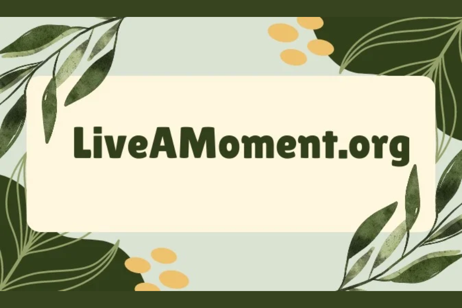 ://liveamoment.org