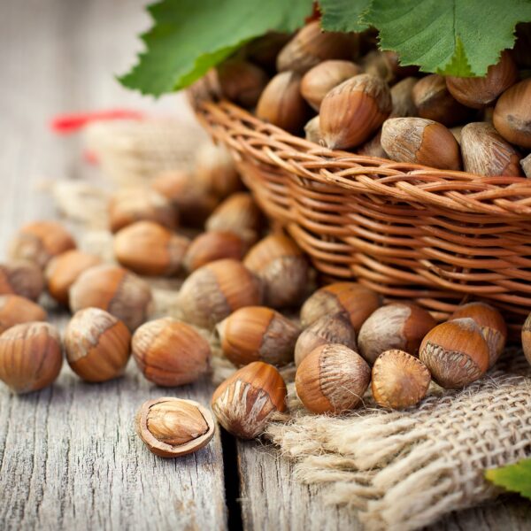 Hazelnuts