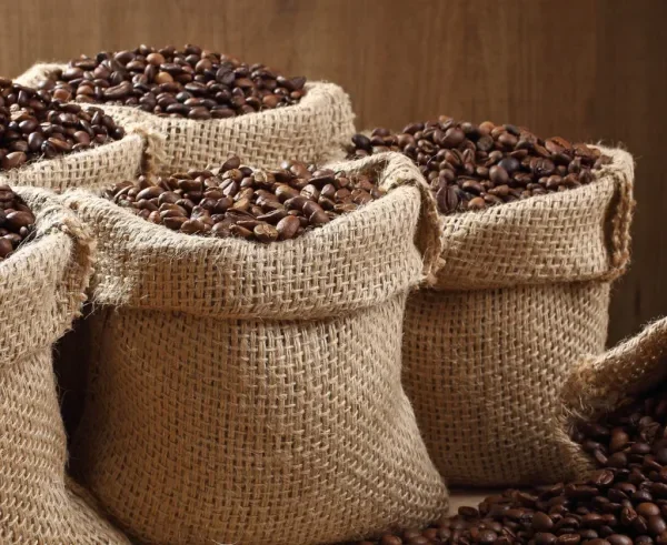 Why Buying Coffee Beans Wholesale Is a Smart Choice for Cafes and Retailers