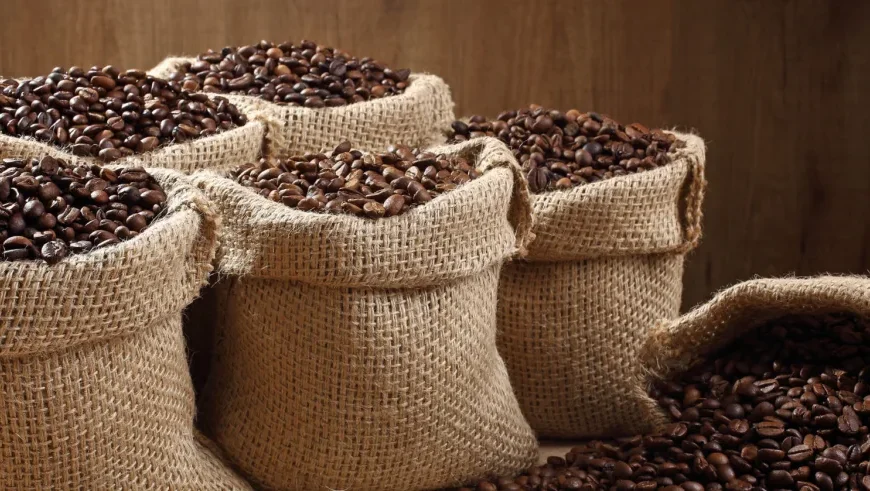 Why Buying Coffee Beans Wholesale Is a Smart Choice for Cafes and Retailers